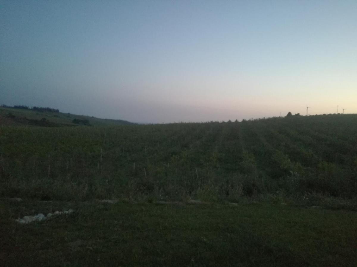 Casa Chardonnay Villa Menfi Luaran gambar